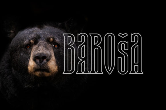 Baroša: The 3D Display Font for Impactful Design